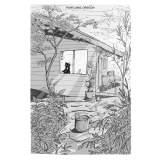 Dweedy and the Bush Cats - The Complete Adventure